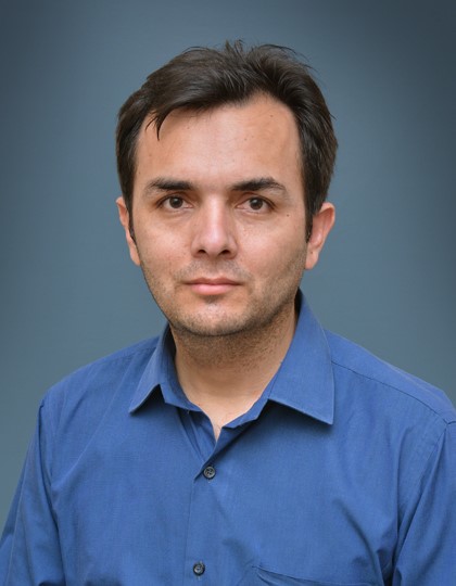 Research Fellow at PICSS